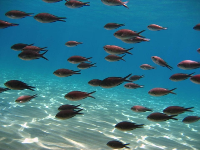 Discovering the seabed 